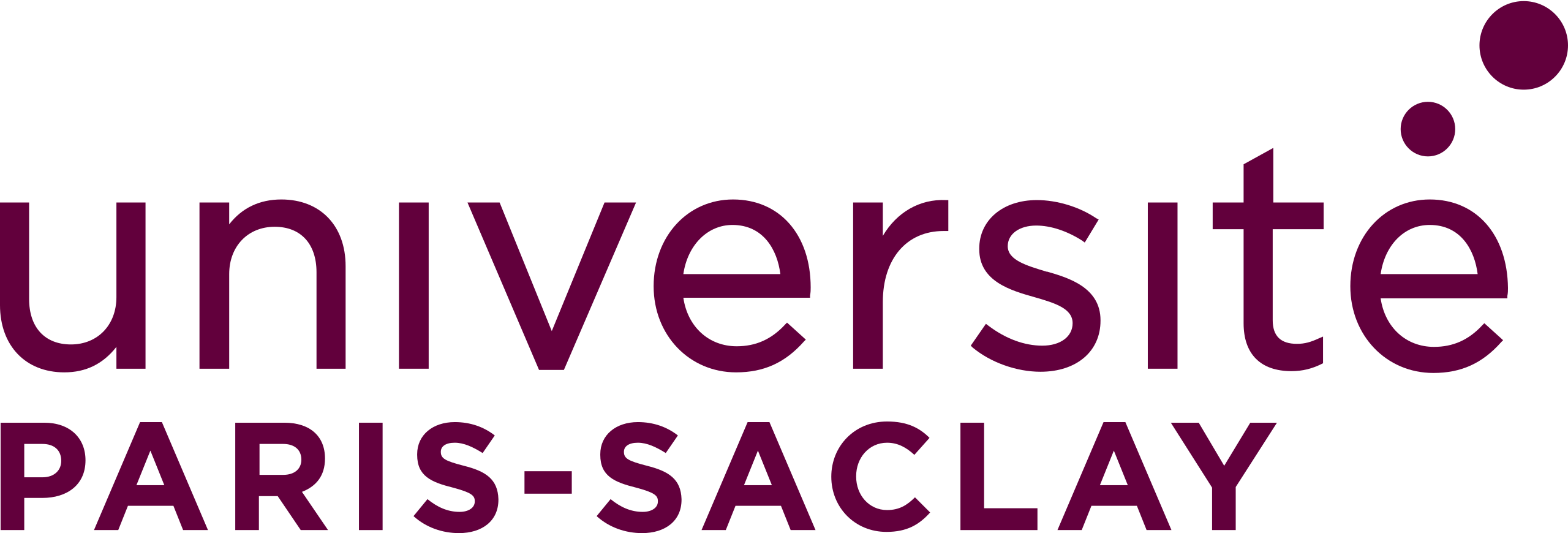 Logo_Université_Paris-Saclay